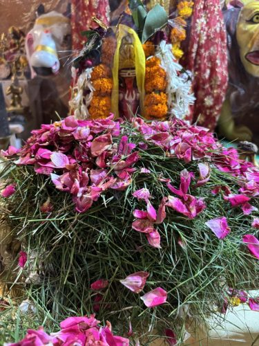 Ganesh-Puja-Varanasi-Ashram-16