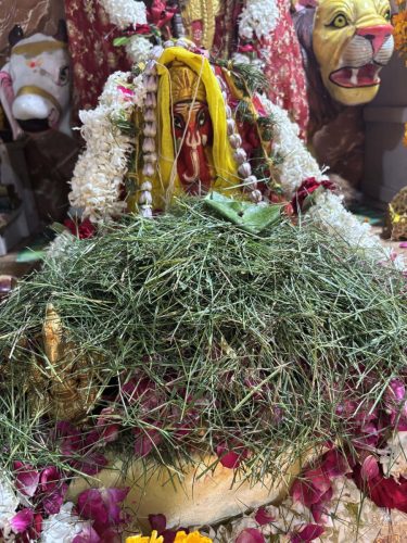 Ganesh-Puja-Varanasi-Ashram-30
