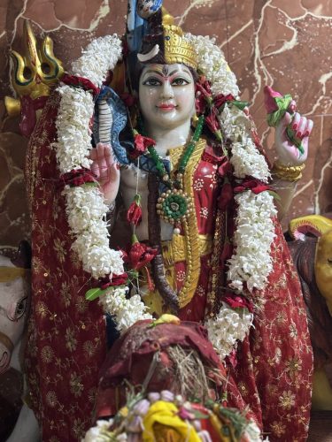 Ganesh-Puja-Varanasi-Ashram-33